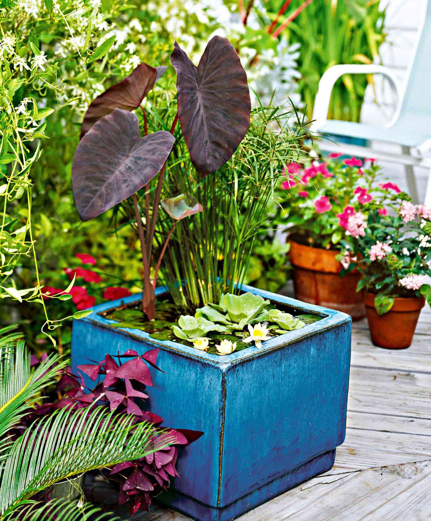 Container water garden