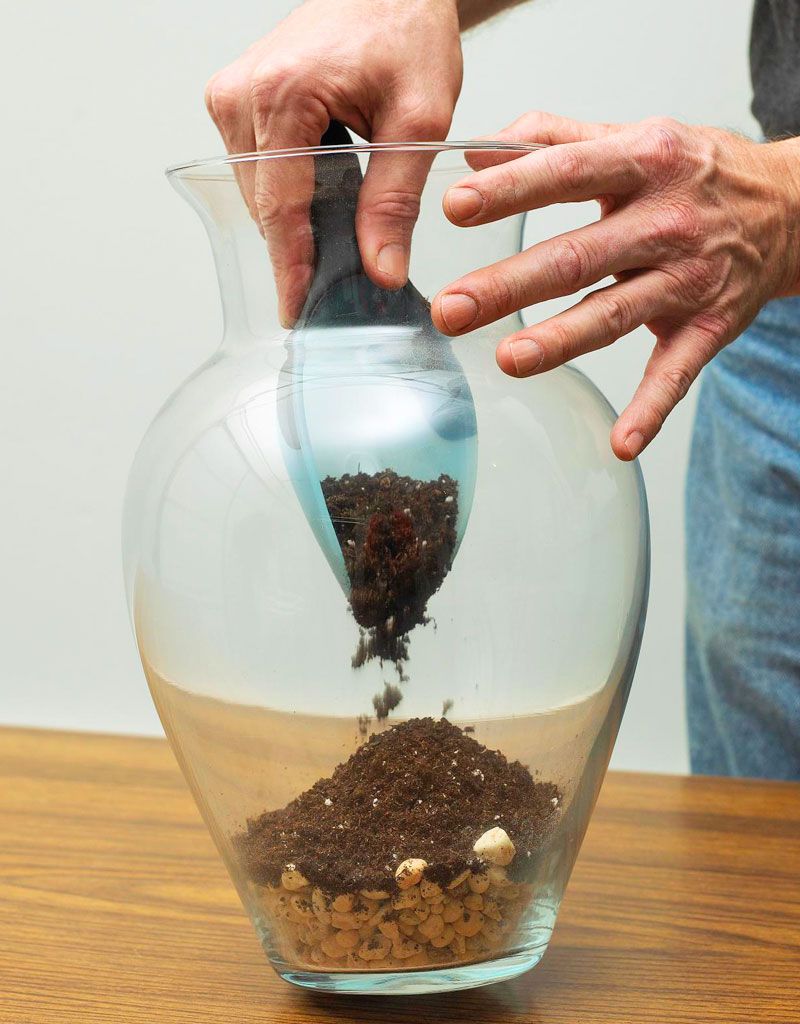 Create a terrarium: First steps