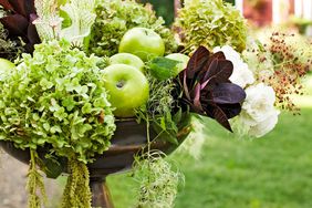 Fall hydrangea flower arrangements