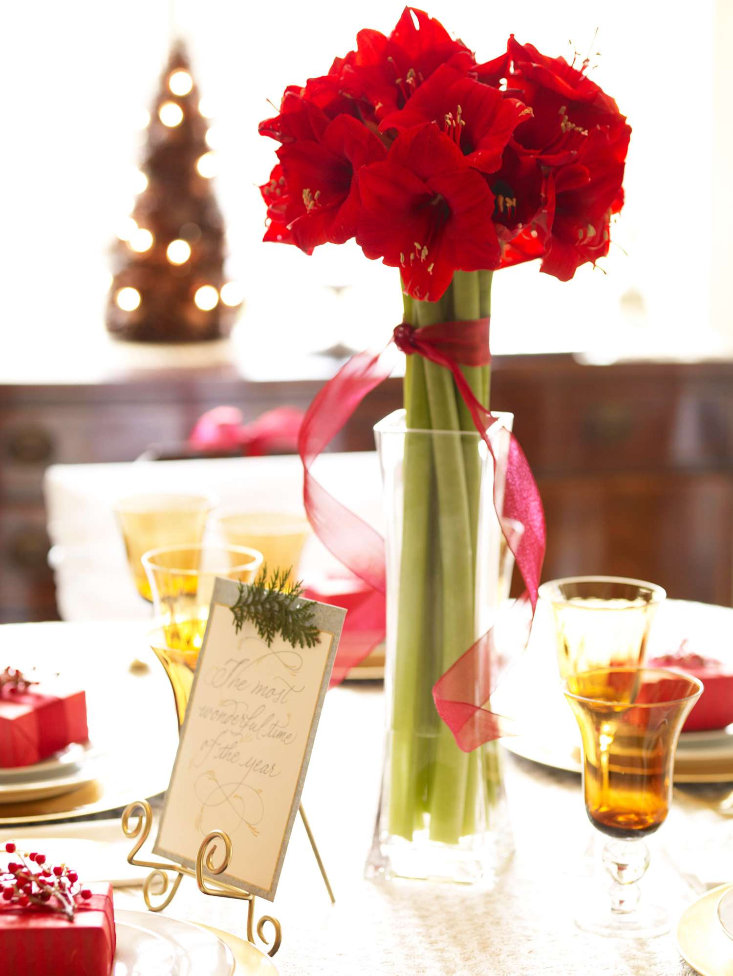 Christmas centerpiece ideas: amaryllis in a tall vase