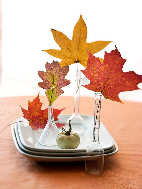 Simple leaf display