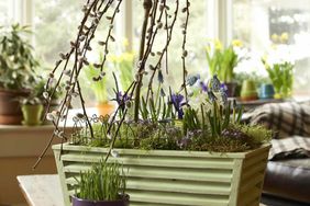 How to create a potted spring centerpiece: finishing touches