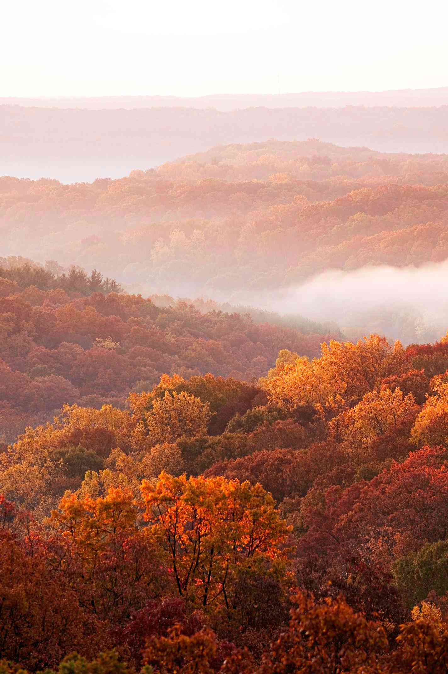 Indiana: Brown County State Park