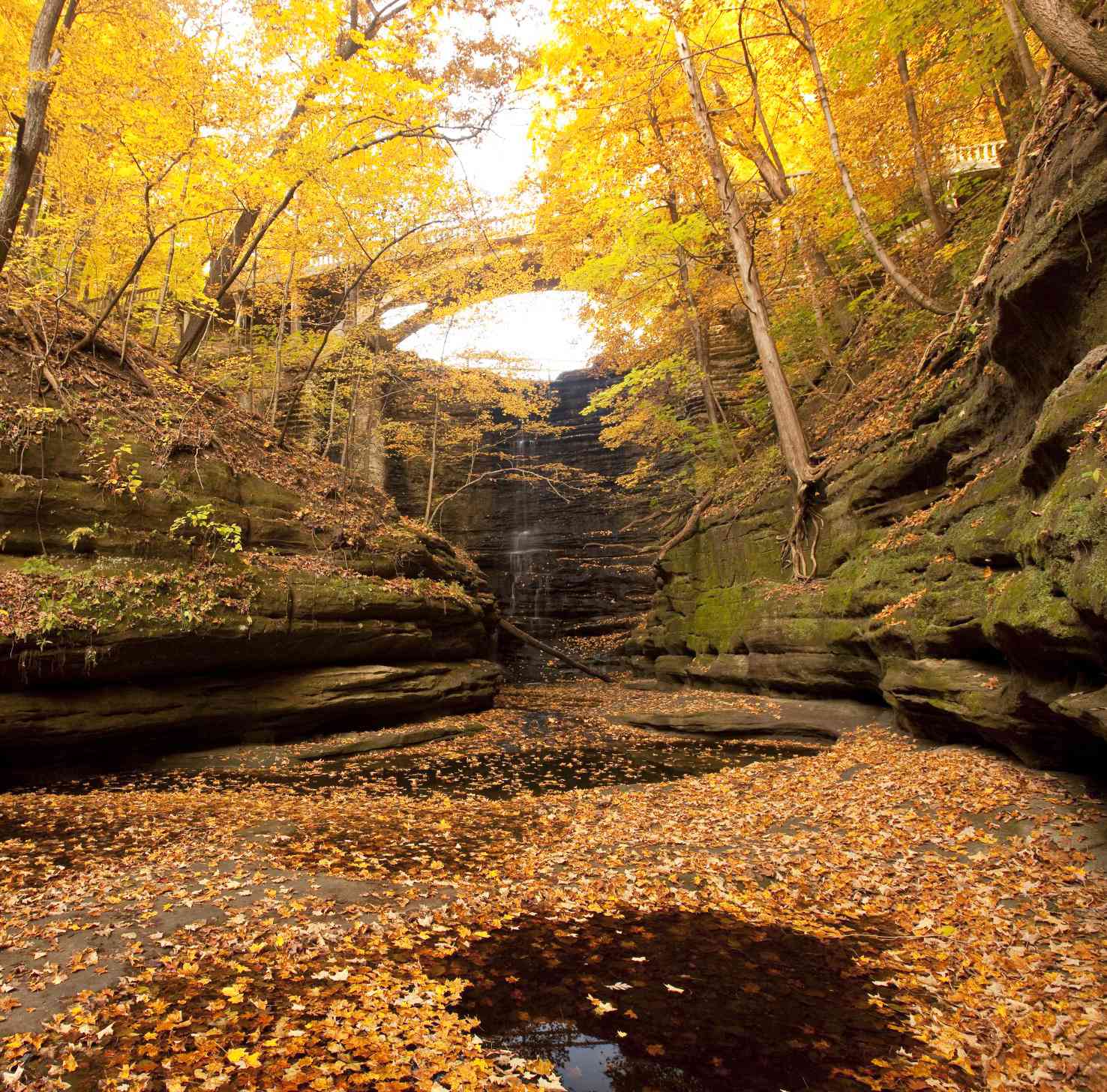 Illinois: Illinois River Road National Scenic Byway