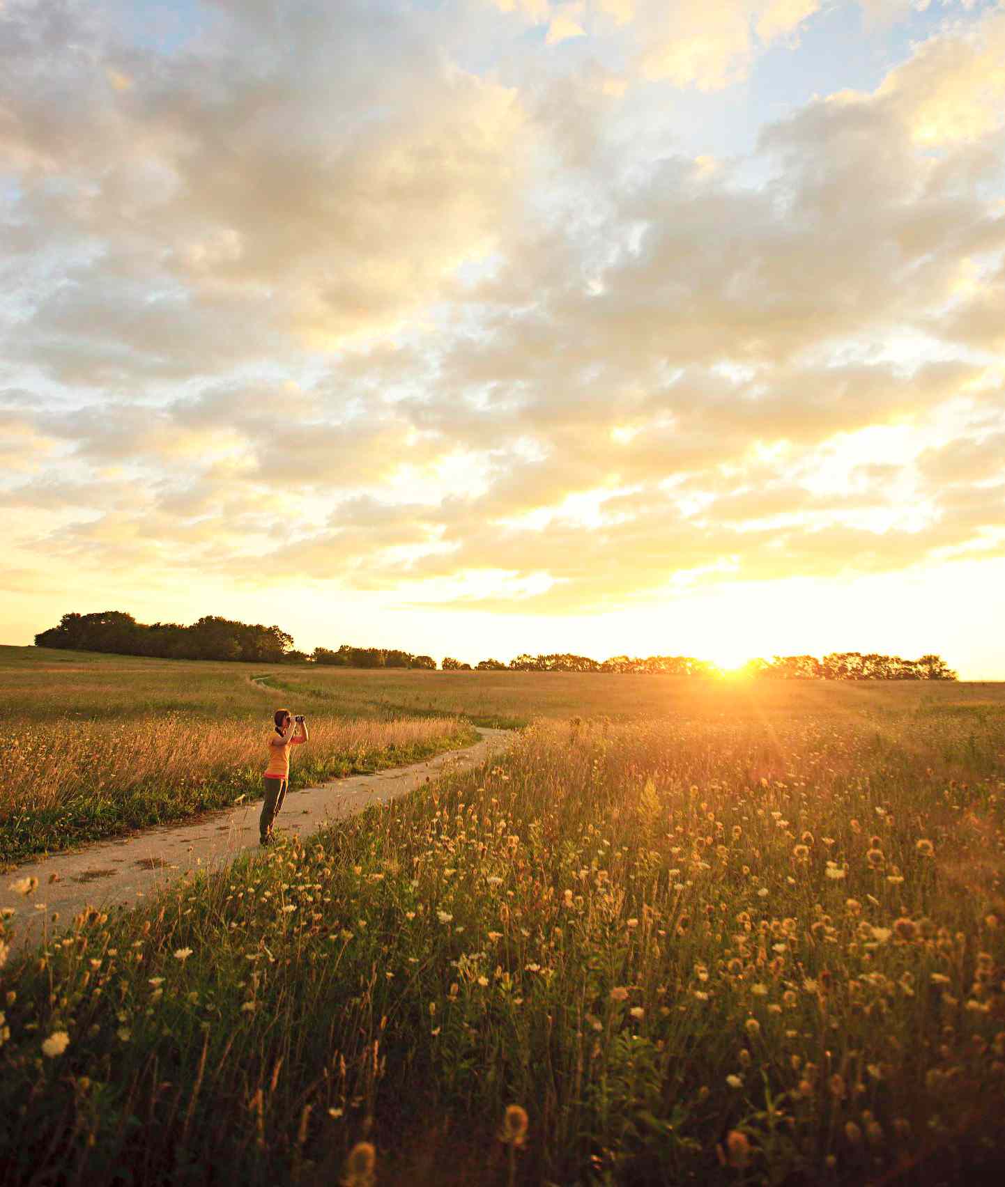 Midewin National Tallgrass Prairie: 60 miles southwest of Chicago