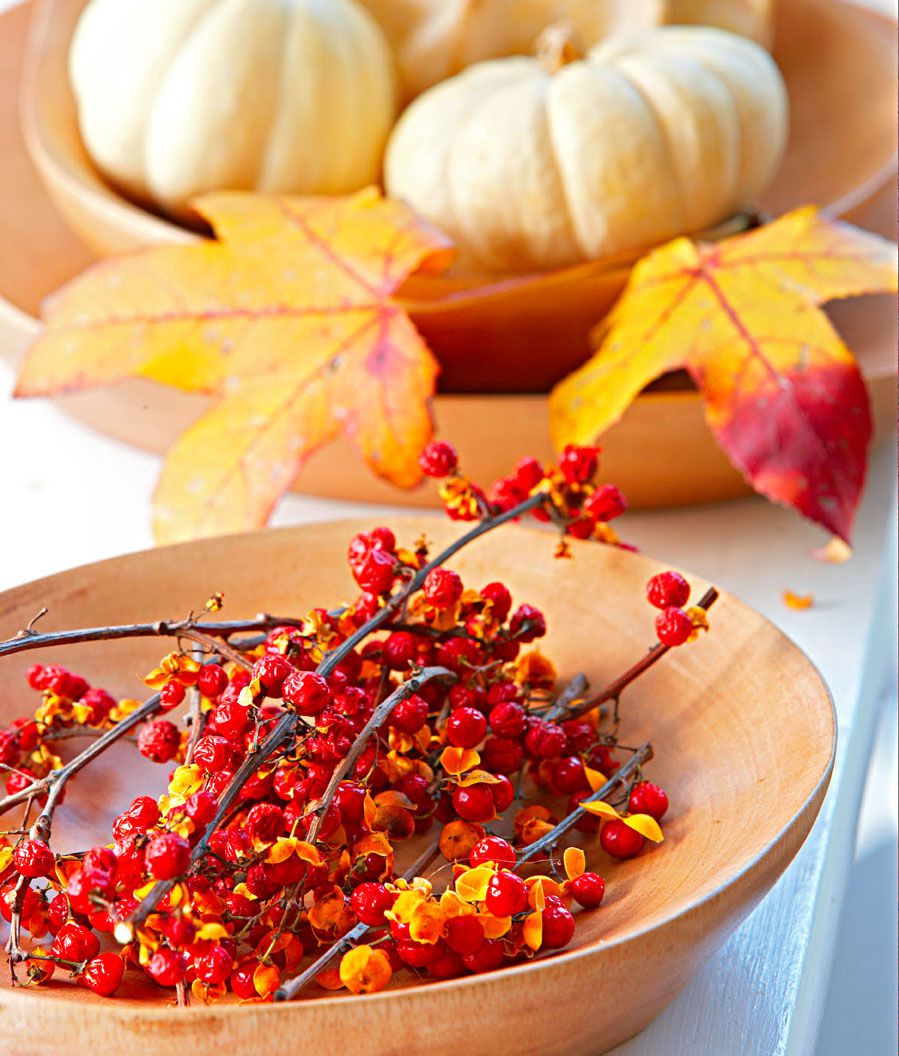 Fall decorating with leaves, mini pumpkins and bittersweet