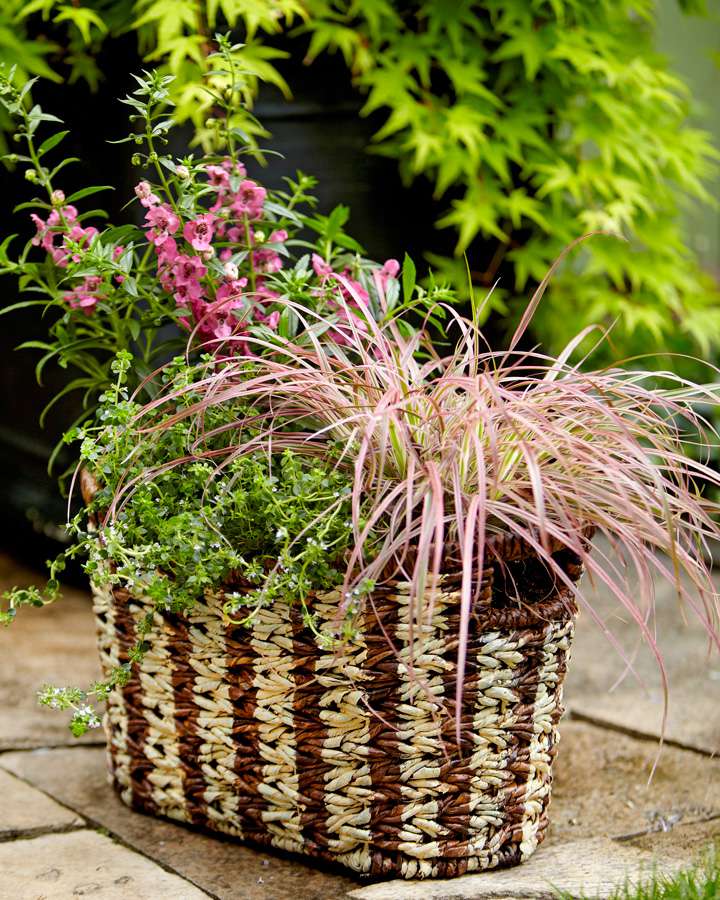 Container Garden Basket