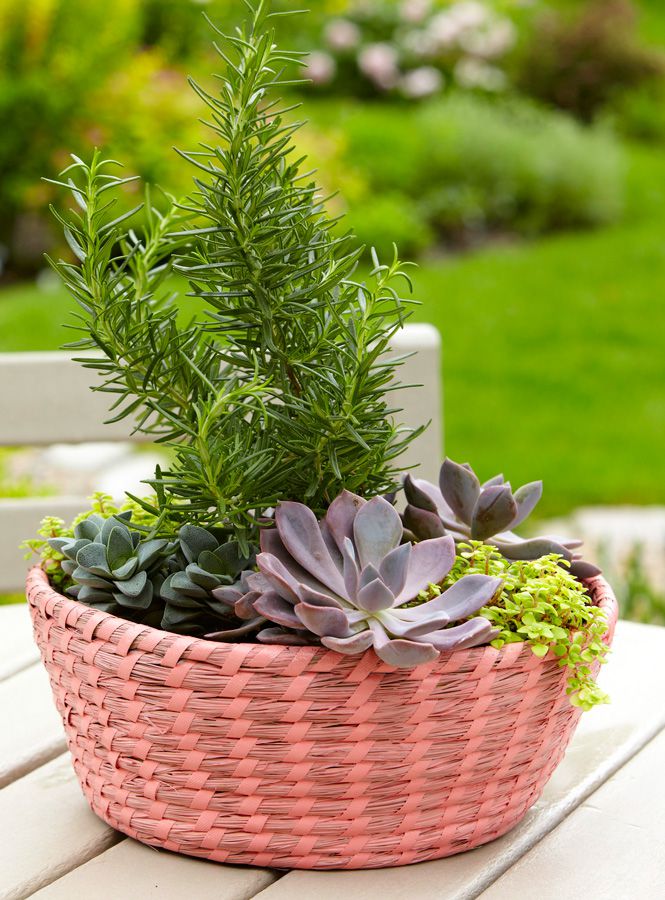 Container Garden Basket