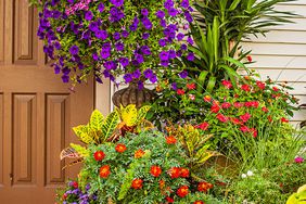 Welcoming entrance container gardens