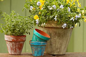 DIY ways to age garden pots