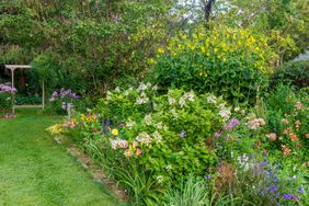 Summer garden in Iowa