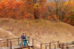 The 3 Dunes Challenge Trail blends boardwalks and sandy paths