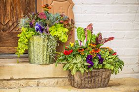 Fall container gardens