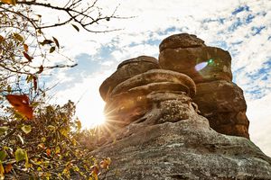 Fall staff road trips southern Illinois