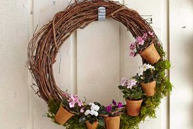 Spring grapevine wreath