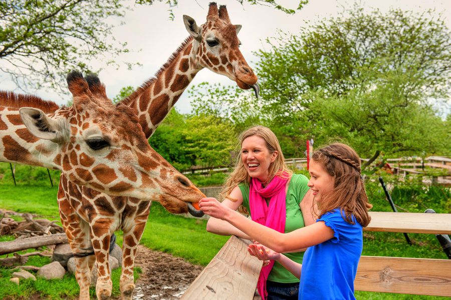 Indianapolis Zoo