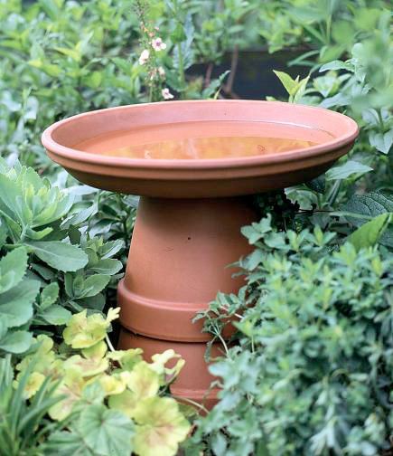 Birdbath in a flash