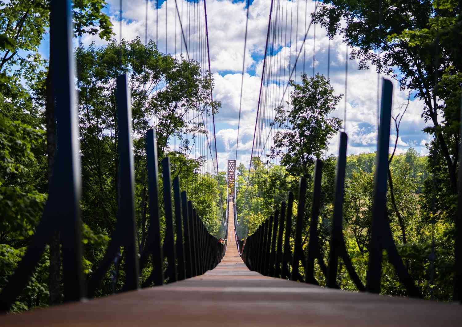 SkyBridge Michigan, Boyne Mountain