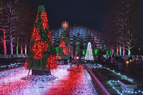 Festive holiday lights outside at Missouri Botanical Garden