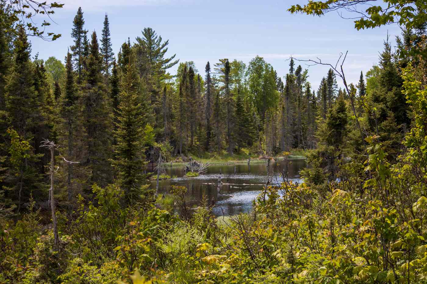 Isle Royale National Park