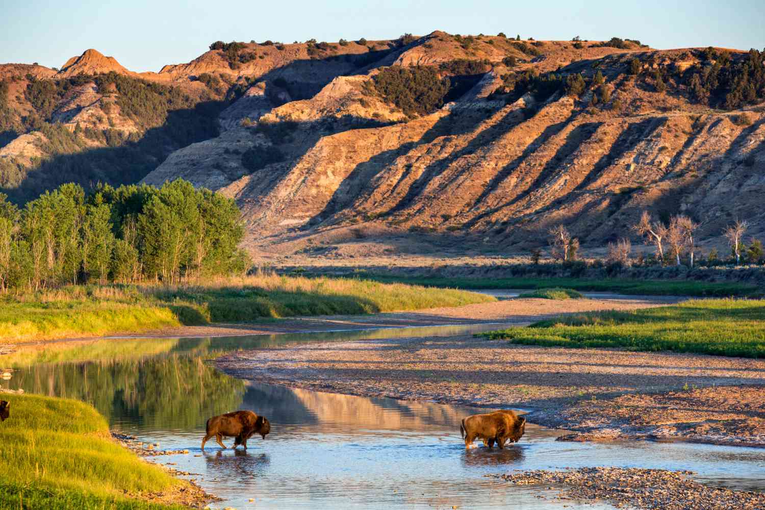 Theodore Roosevelt National Park North Dakota