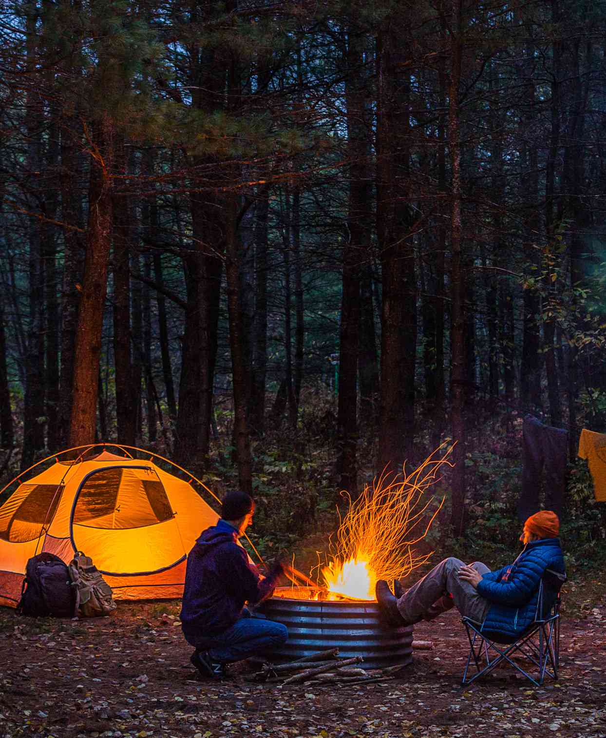 hartwick pines state park