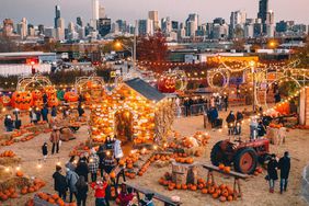 Jack's Pumpkin Pop-Up Halloween Festival Chicago