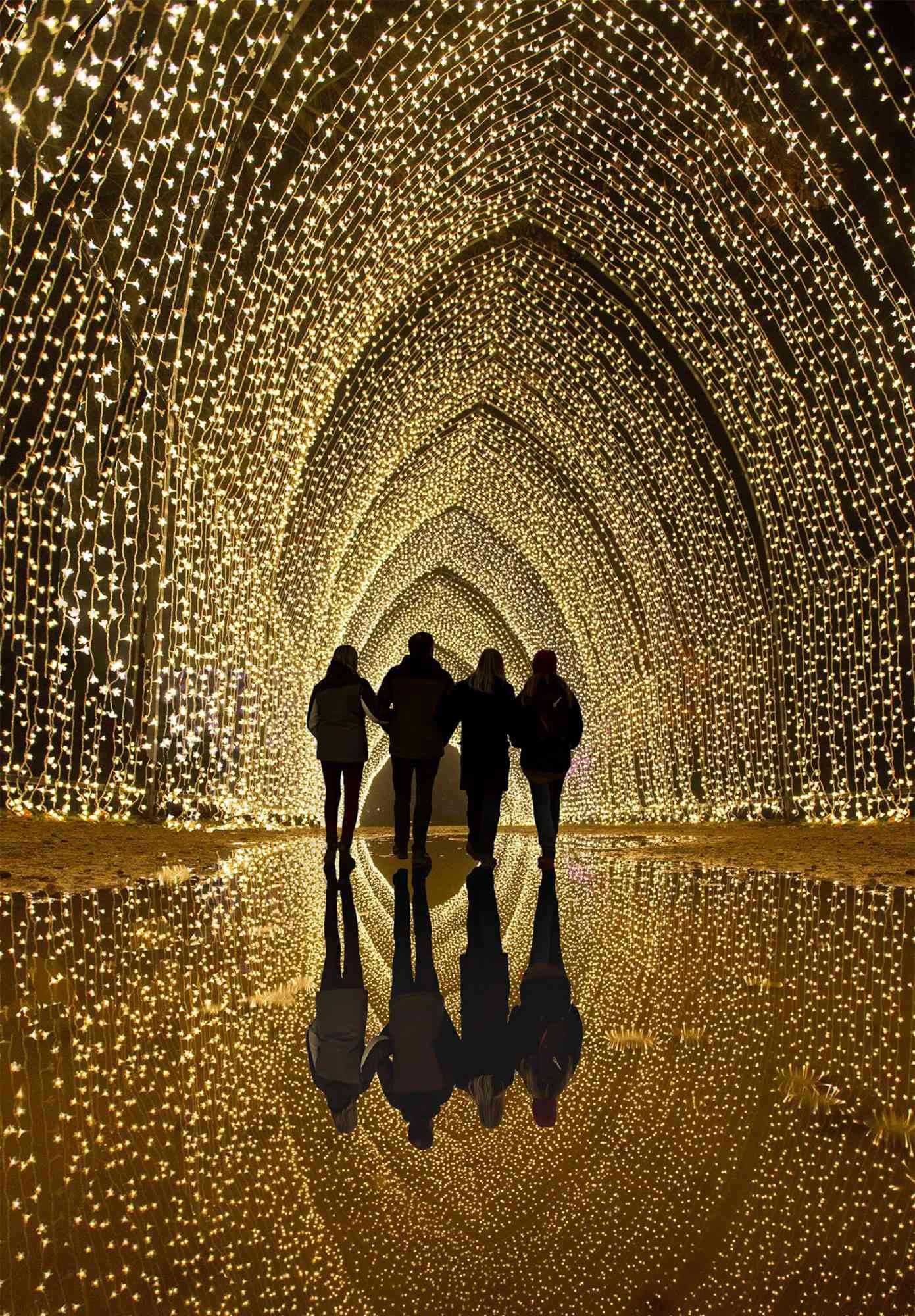 Chicago Botanic Garden Lightscape