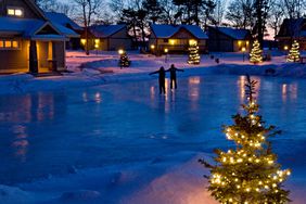 lit christmas trees near frozen pond