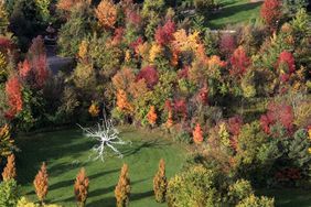 Neuron Fall Photo Courtesy of Frederik Meijer Gardens and Sculpture Park