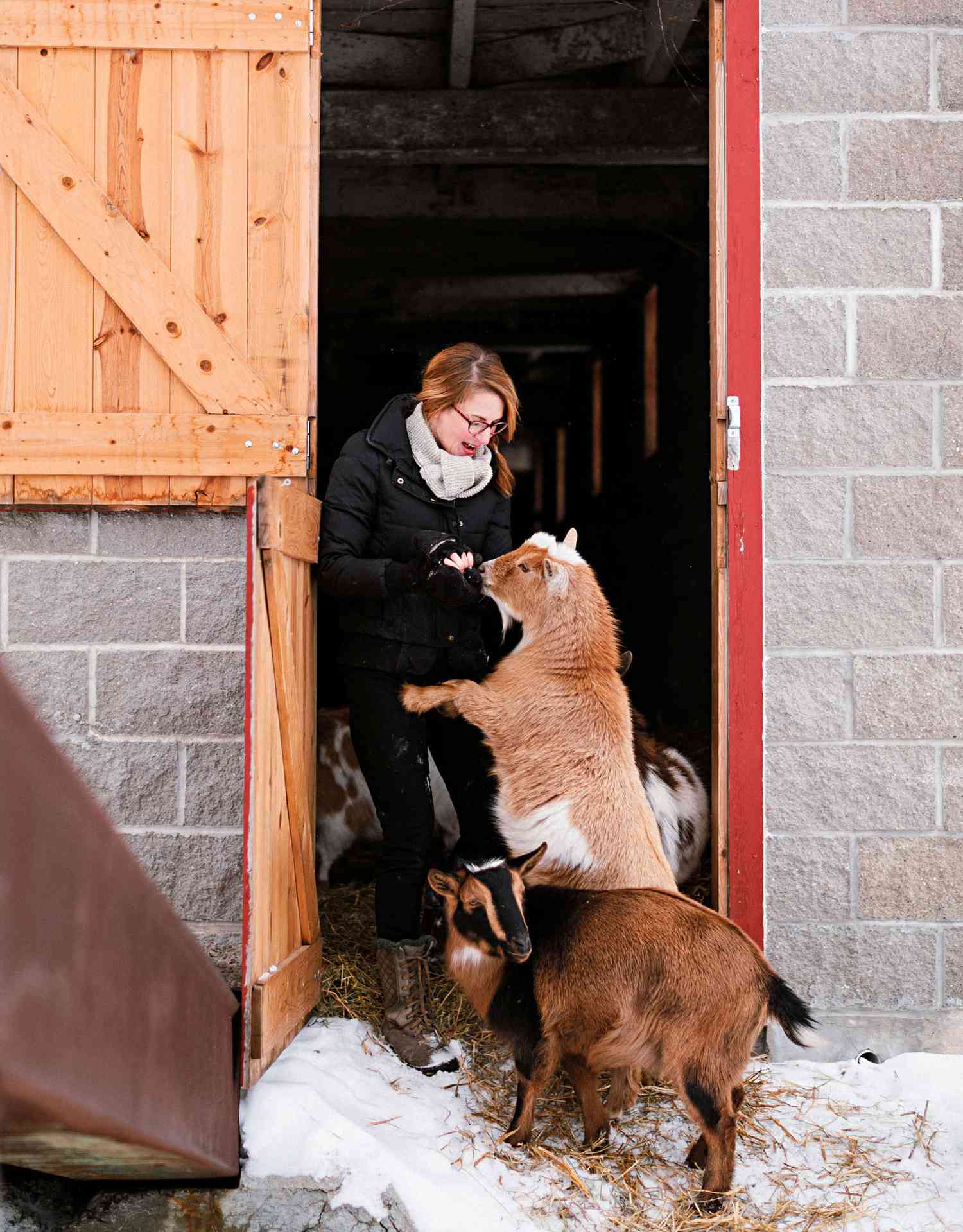 Animals at Three Pines Farm