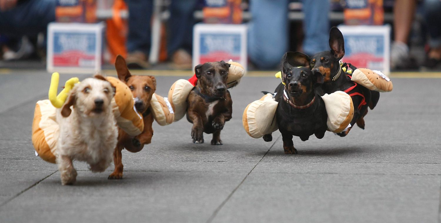 Oktoberfest Zinzinnati, Running of the Wieners