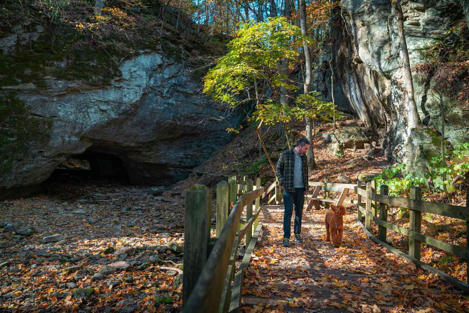 Man and dog walking across a bridge at Rock Bridge Memorial State Park in Missouri