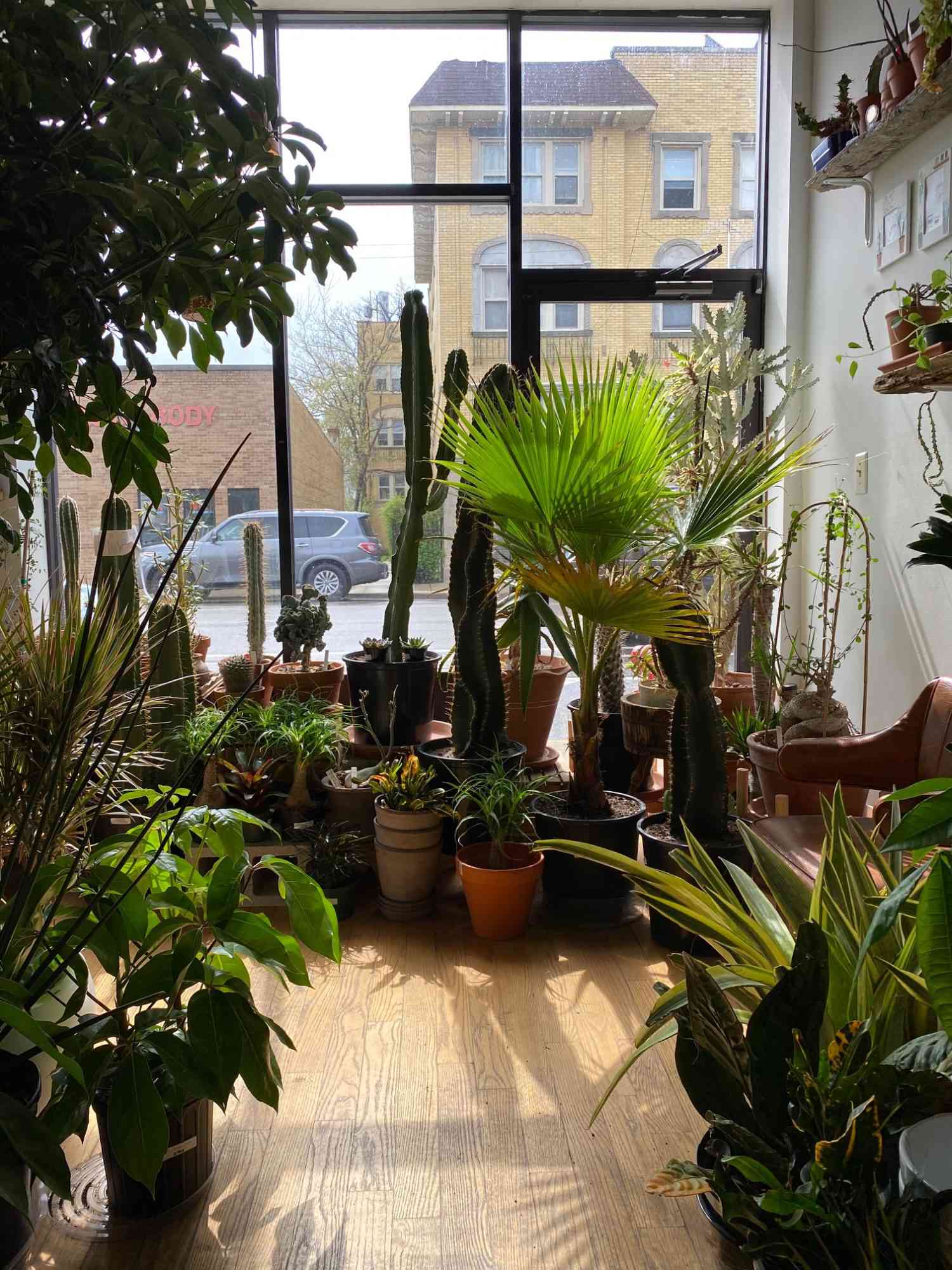 Plant Shop Chicago