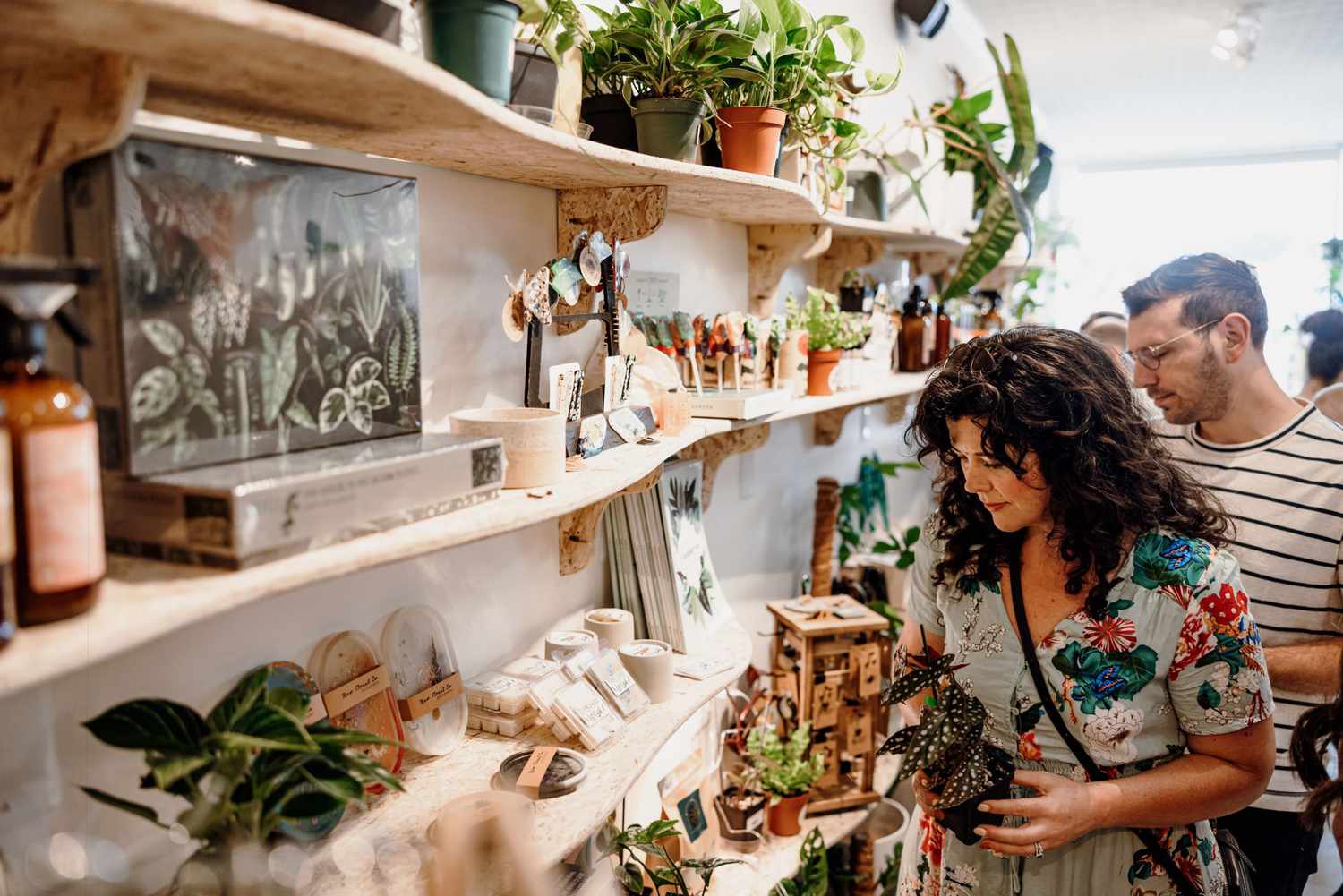 Planty Queens houseplant shop in Minneapolis