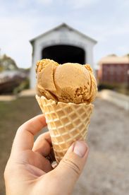 pumpkin ice cream