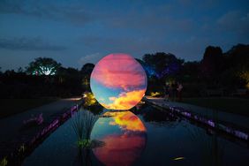 Reflection by Jen Fuller, Gleam at Olbrich Botanical Gardens