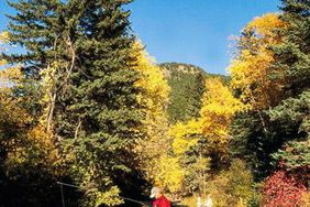 Spearfish Canyon fly fishing