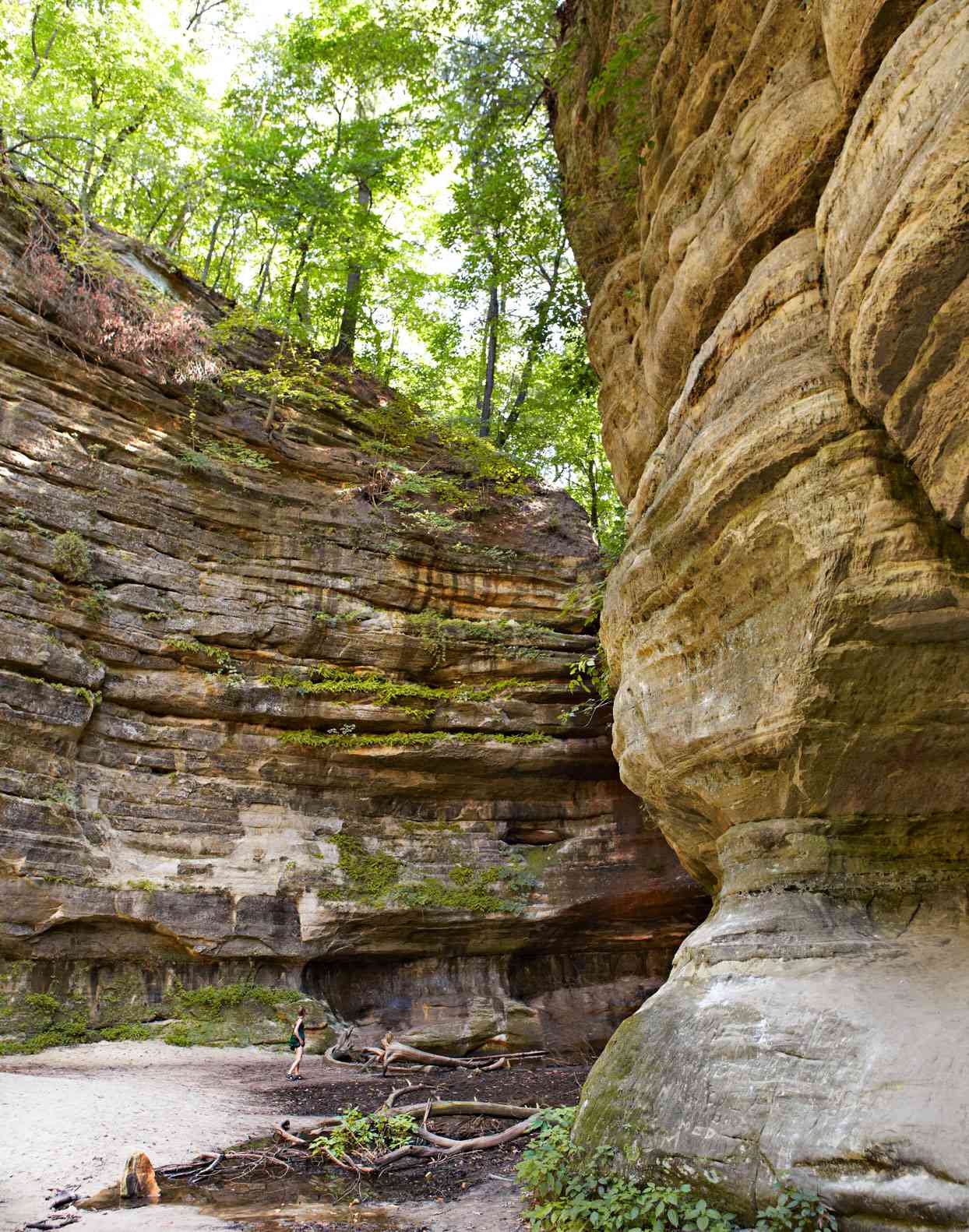 starved rock state park illinois