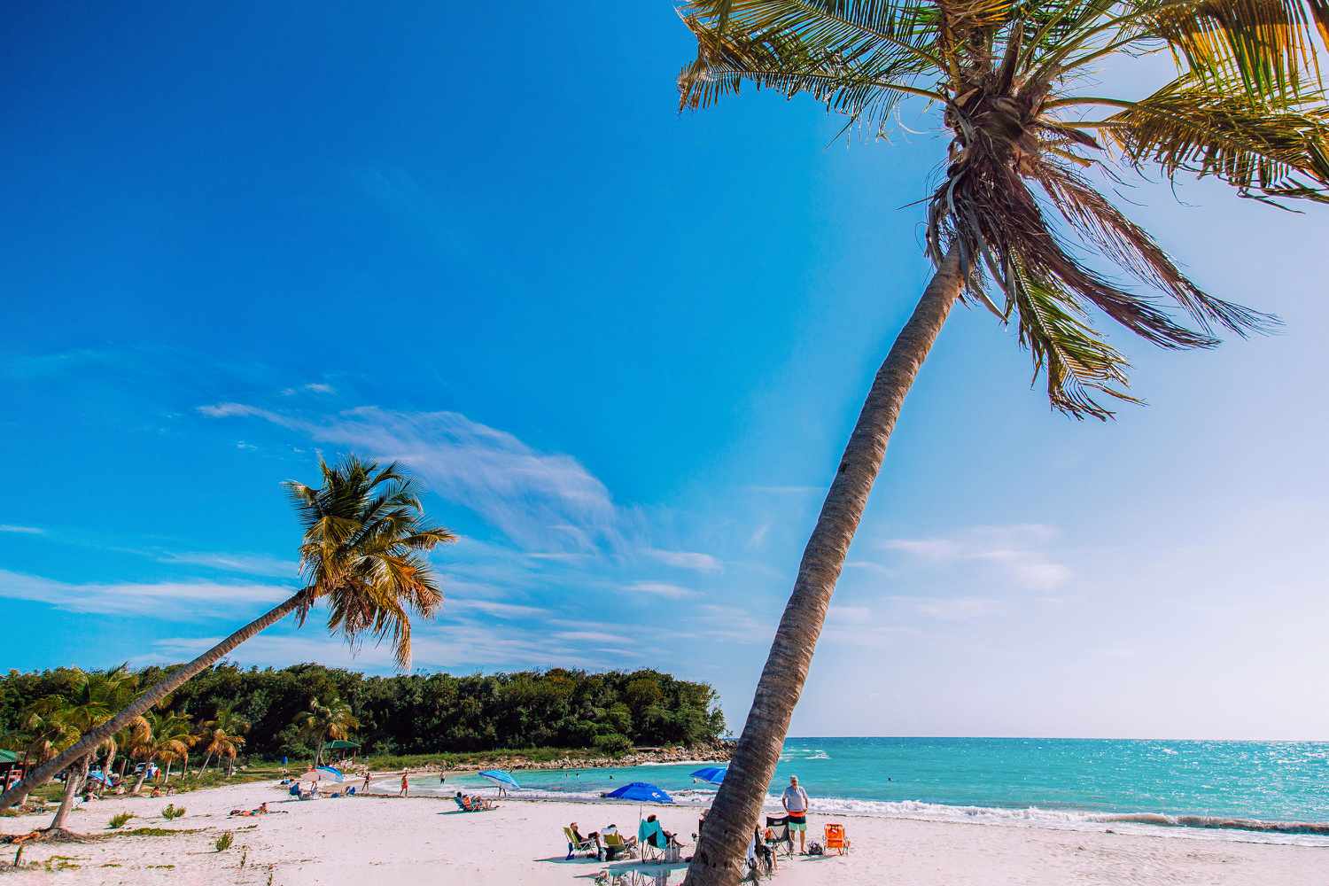 Sandy beach with palm trees in Vieques